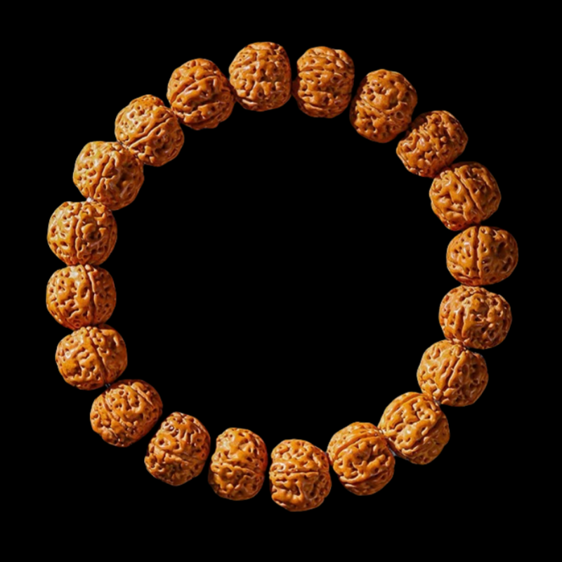 Bursting meat small King Kong single loop bracelet (15mm)