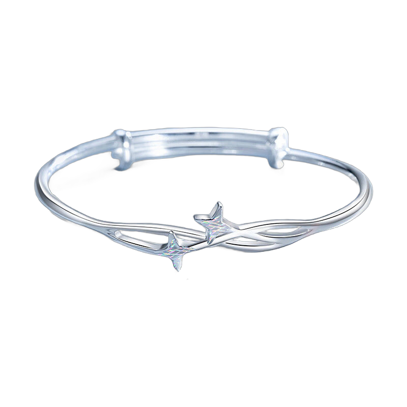 Shining Star Silver Bracelet